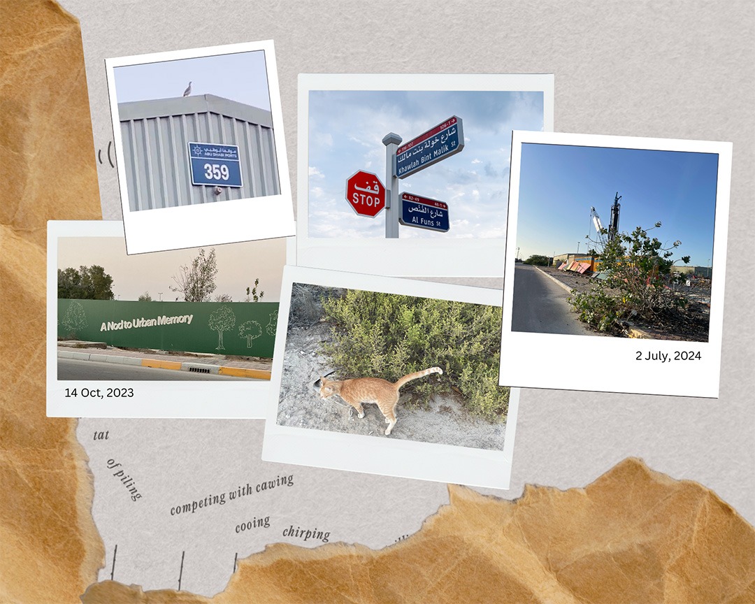 Remembering Mina Zayed